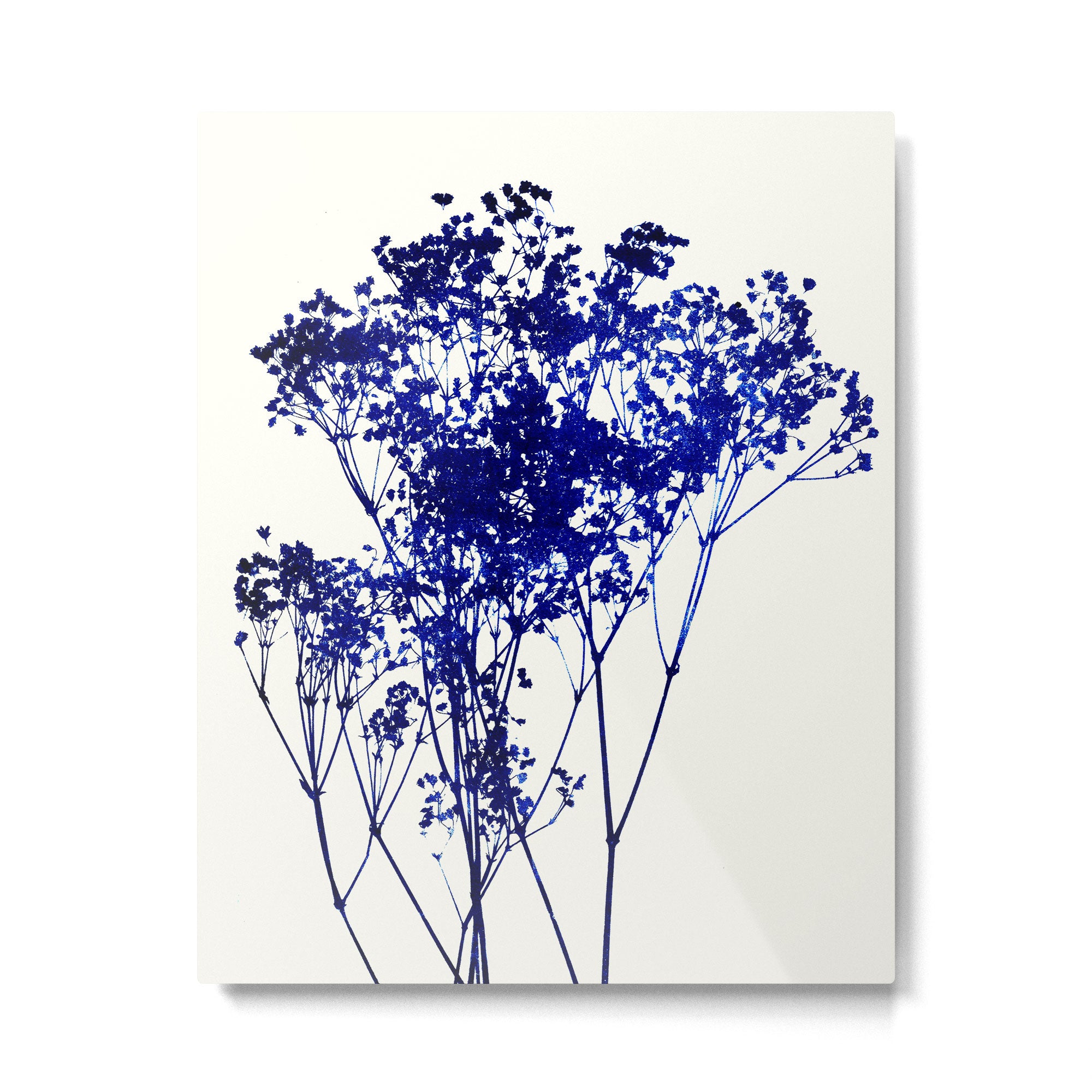 babys breath 1 Metal Print Gallery Image 6