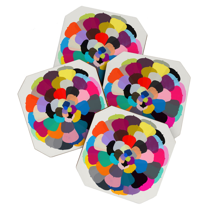 echeveria 1 Coaster Gallery Image 1