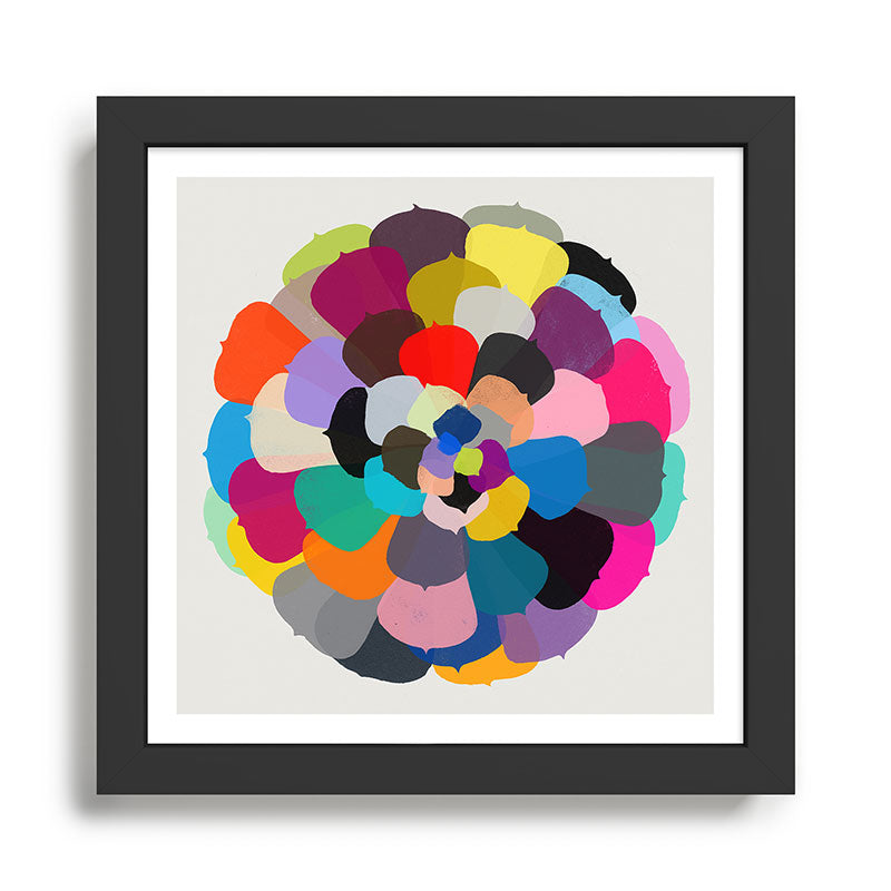 echeveria 1 Framed Art Print Gallery Image 1