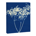 elderflower 1 Canvas Print Gallery Image 8