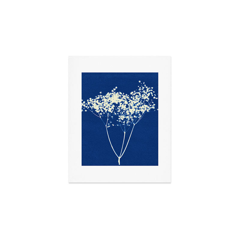elderflower 1 Art Print Gallery Image 1