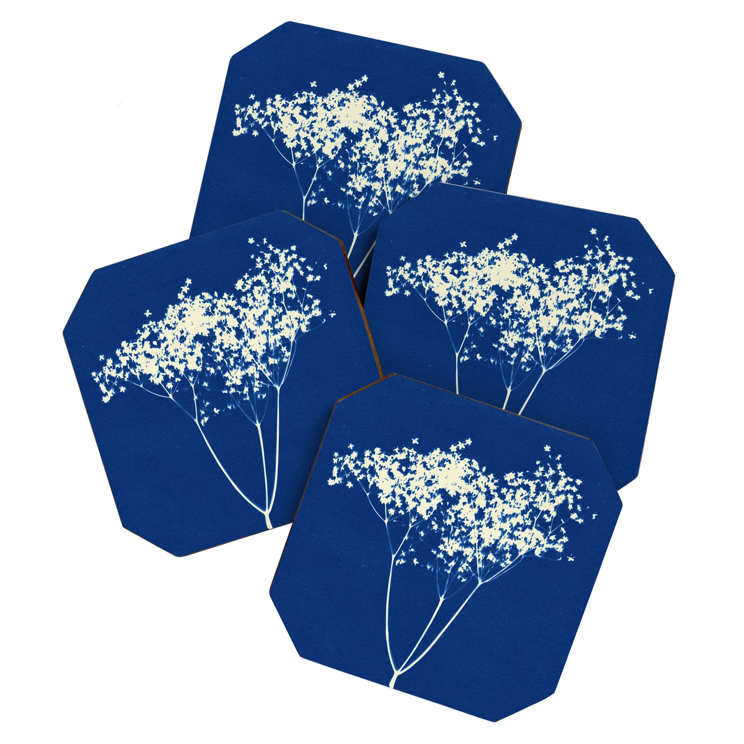 elderflower 1 Coaster Gallery Image 1