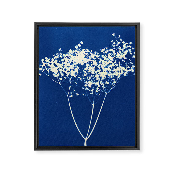 elderflower 1 Framed Canvas Print Gallery Image 1