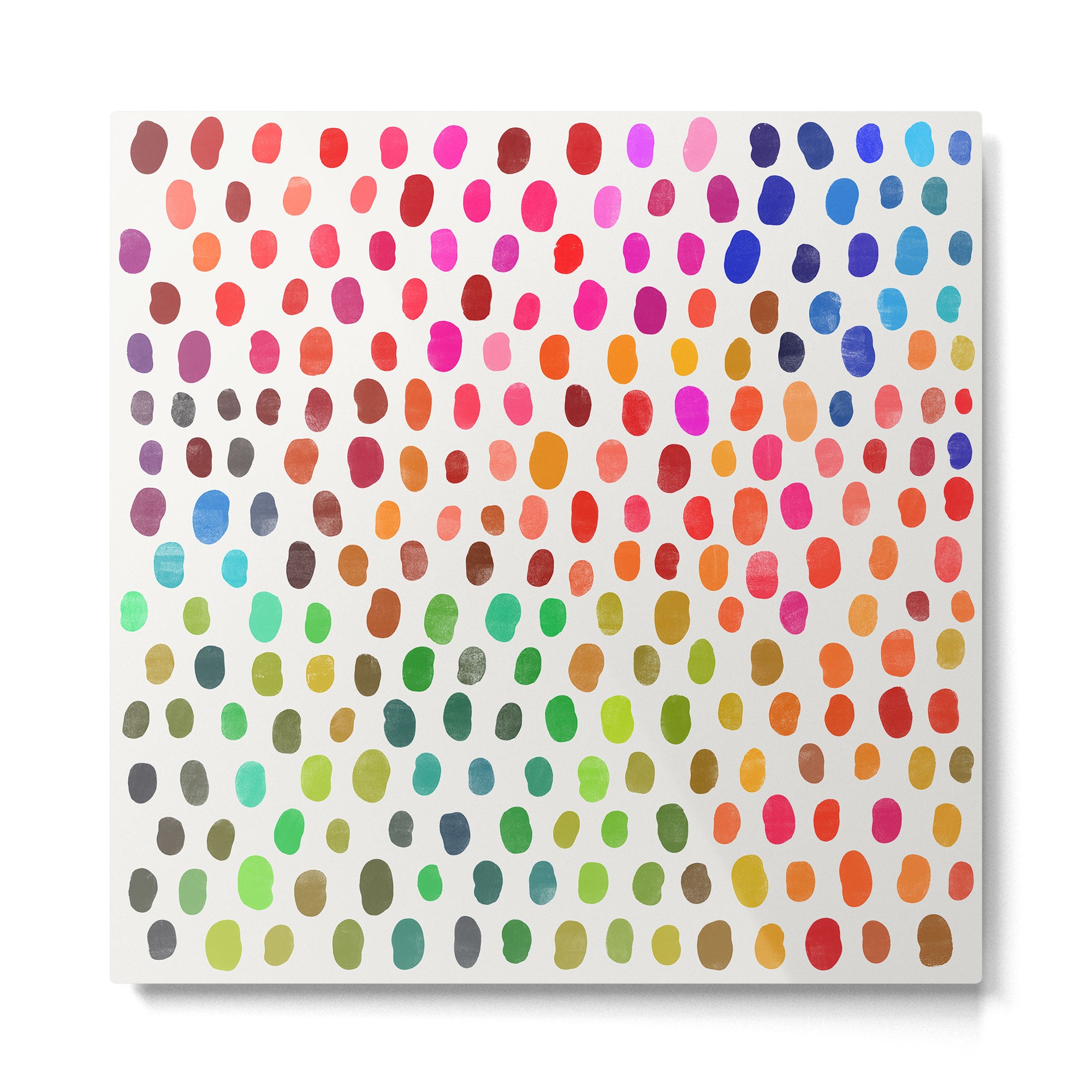 fava 2  Metal Print Gallery Image 2