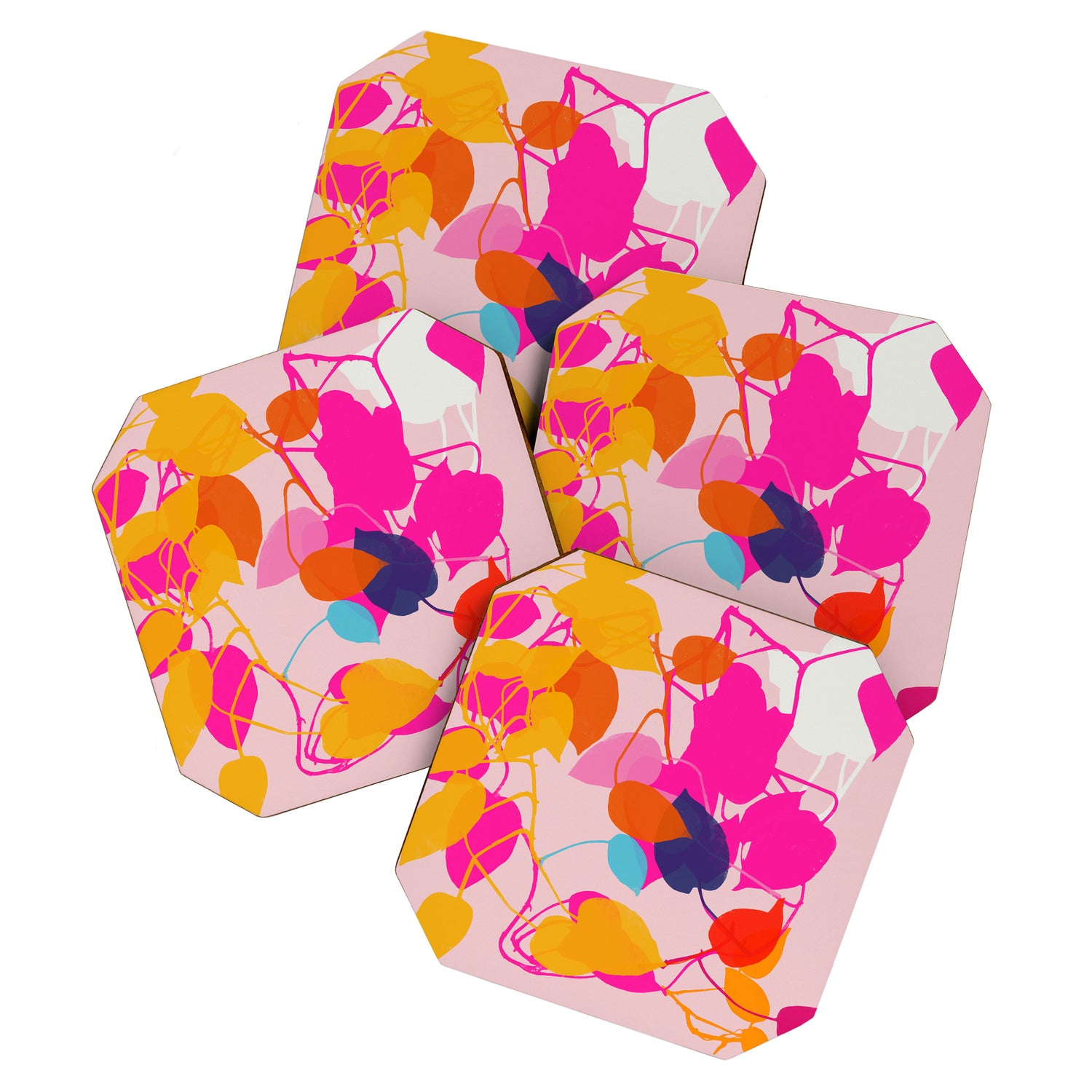 money plant 2 Coaster Gallery Image 1