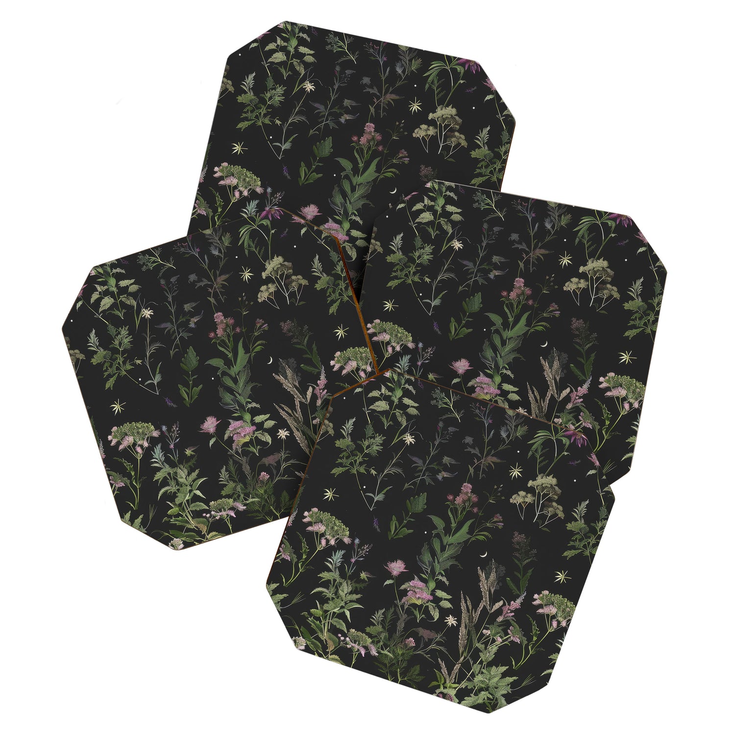 Full Moon Forest - Nighttime Botanical Garden Coaster Gallery Image 1