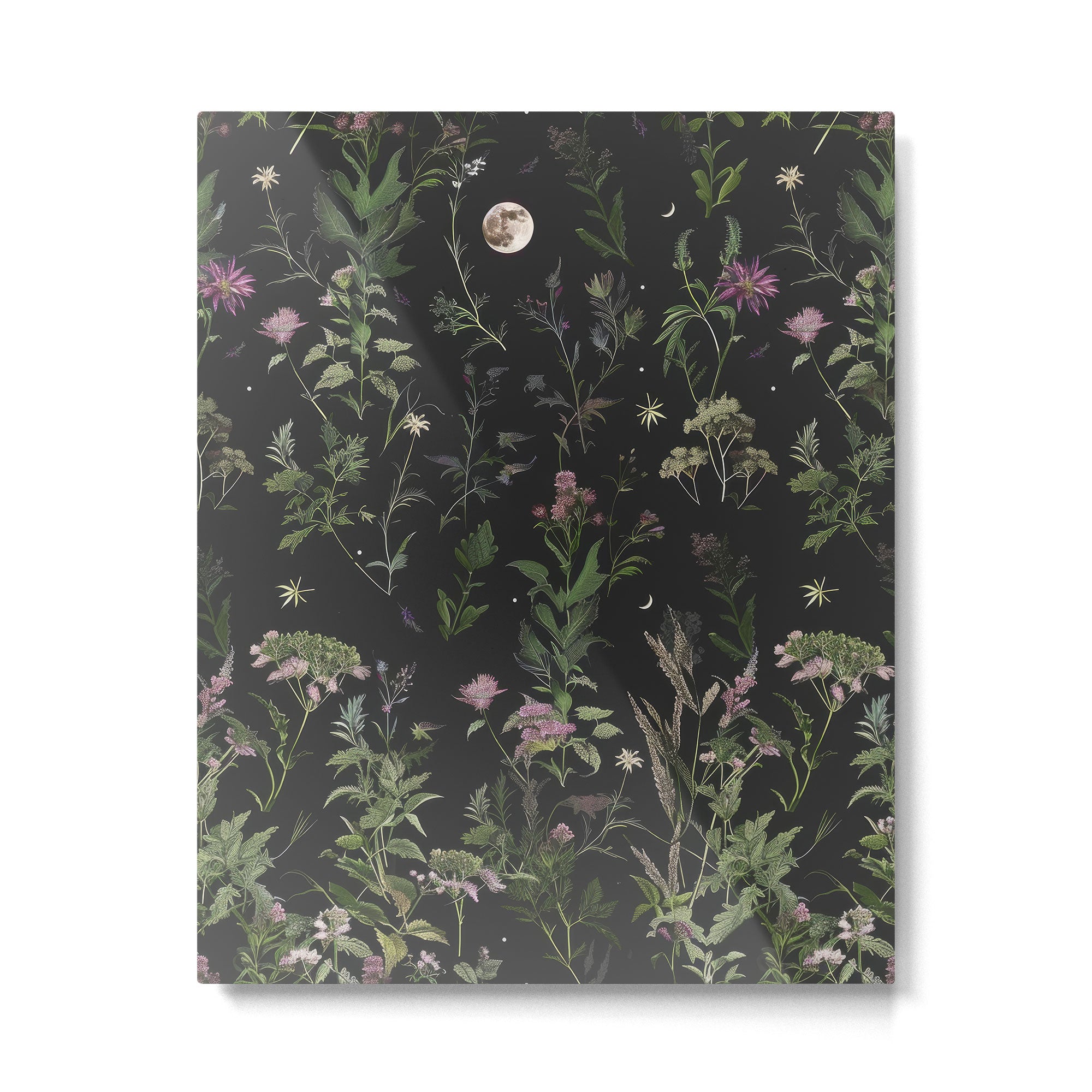 Full Moon Forest - Nighttime Botanical Garden Metal Print Gallery Image 4