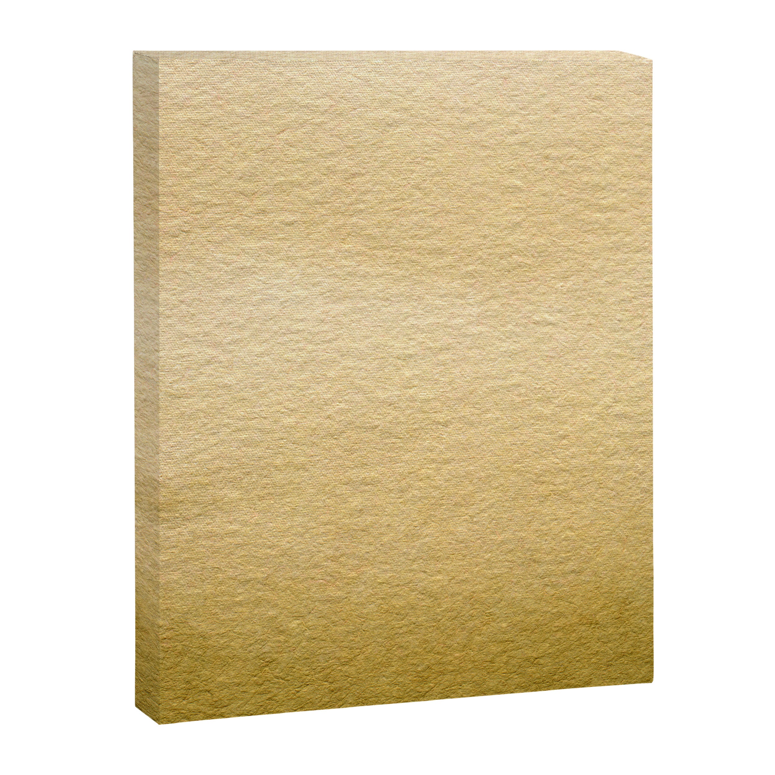 In Gold Horizon Canvas Print Gallery Image 6