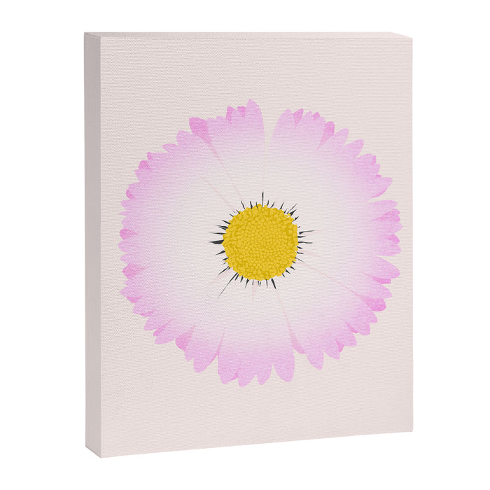 White and Pink Daisy Canvas Print Gallery Image 1