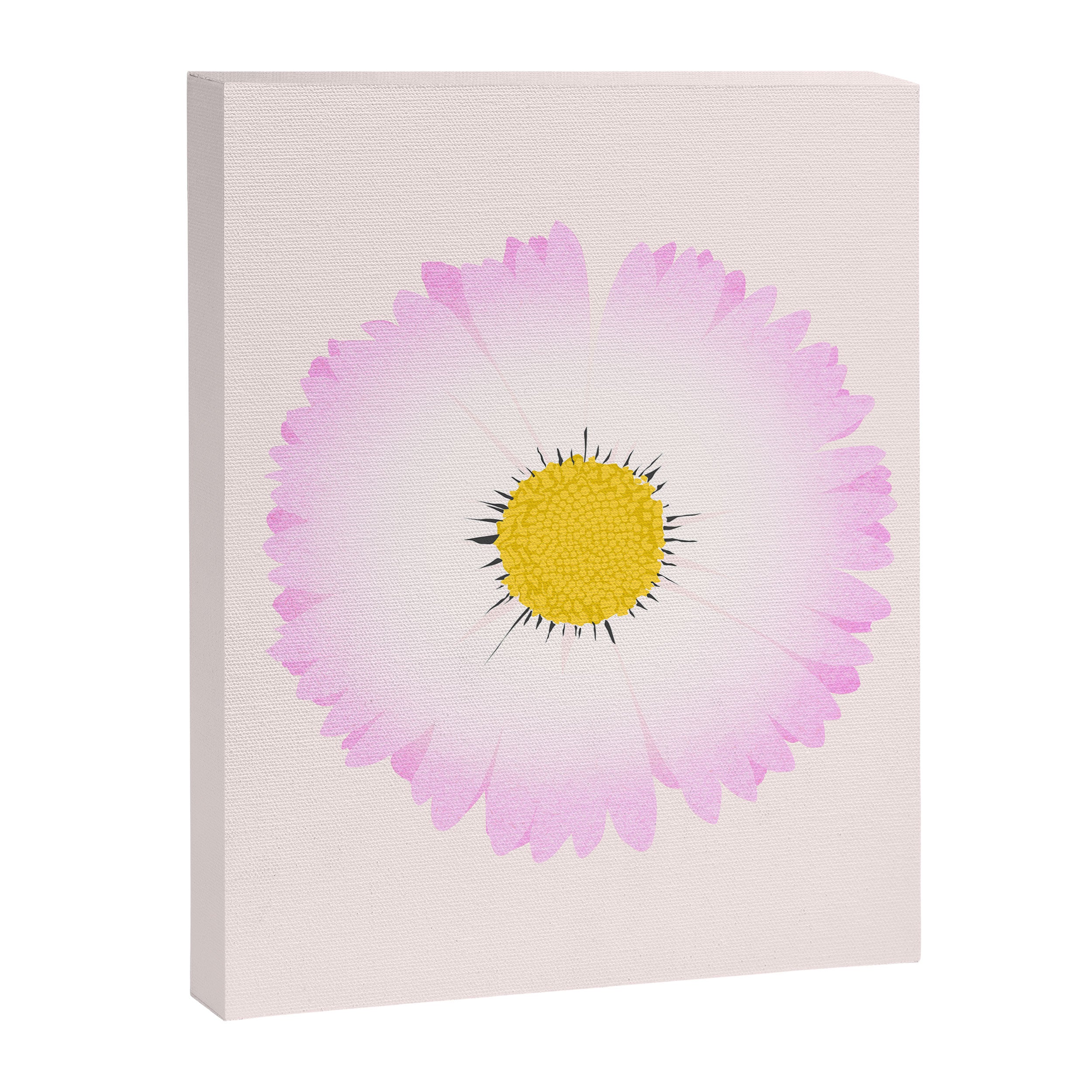 White and Pink Daisy Canvas Print Gallery Image 6