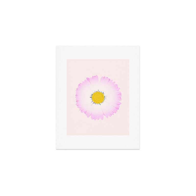 White and Pink Daisy Art Print Gallery Image 1