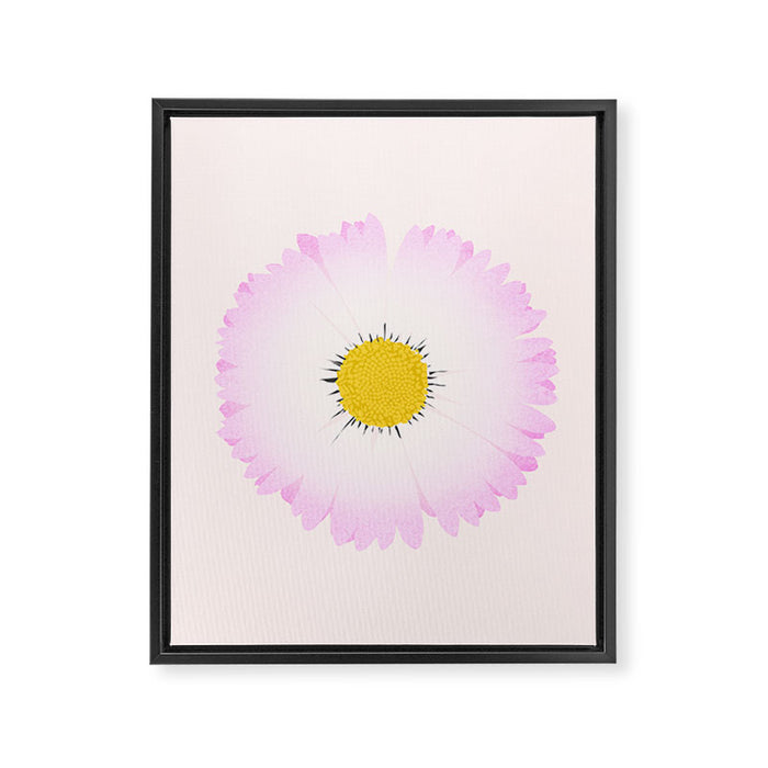 White and Pink Daisy Framed Canvas Print Gallery Image 1