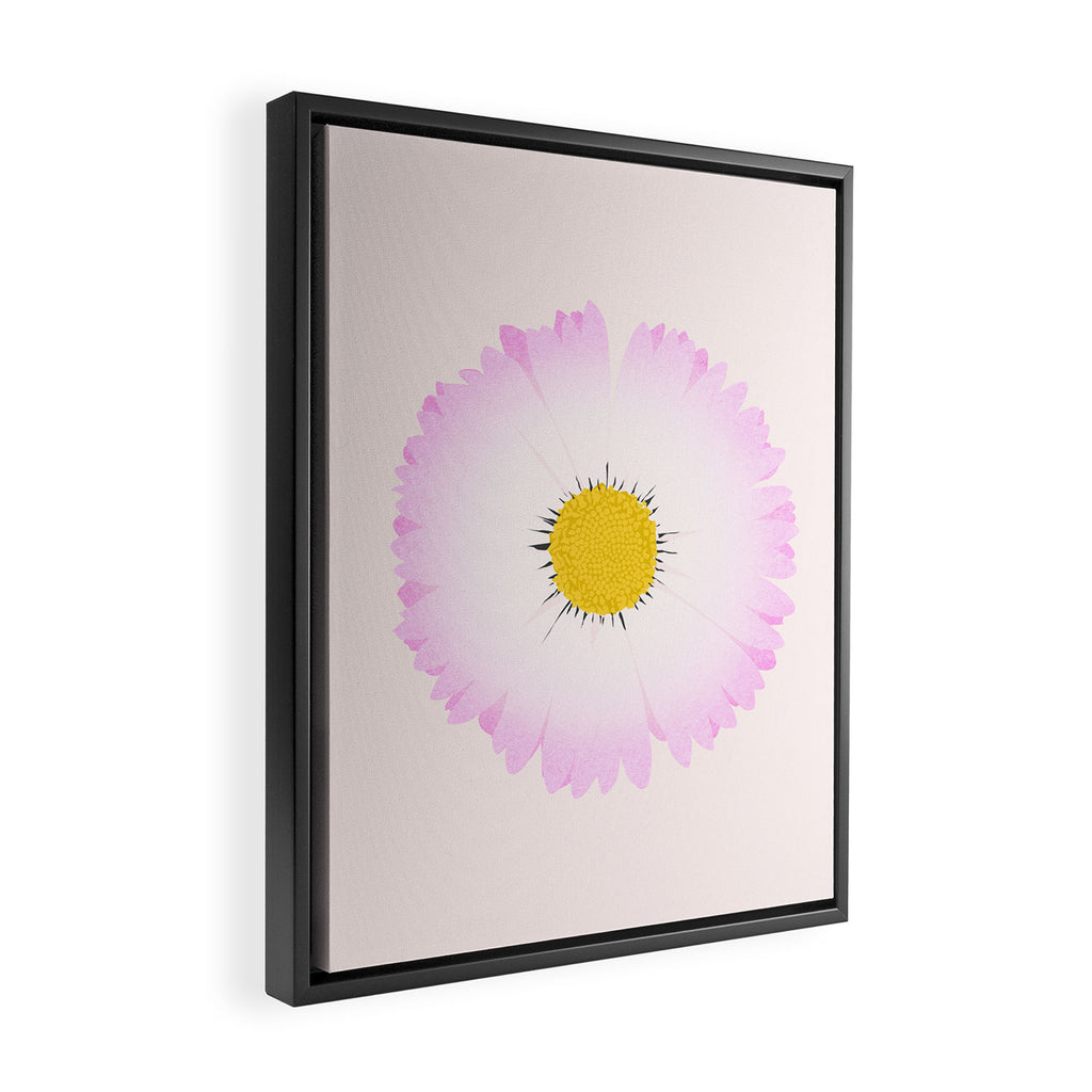 White and Pink Daisy Framed Canvas Print Gallery Image 2