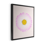 White and Pink Daisy Framed Canvas Print Gallery Image 2