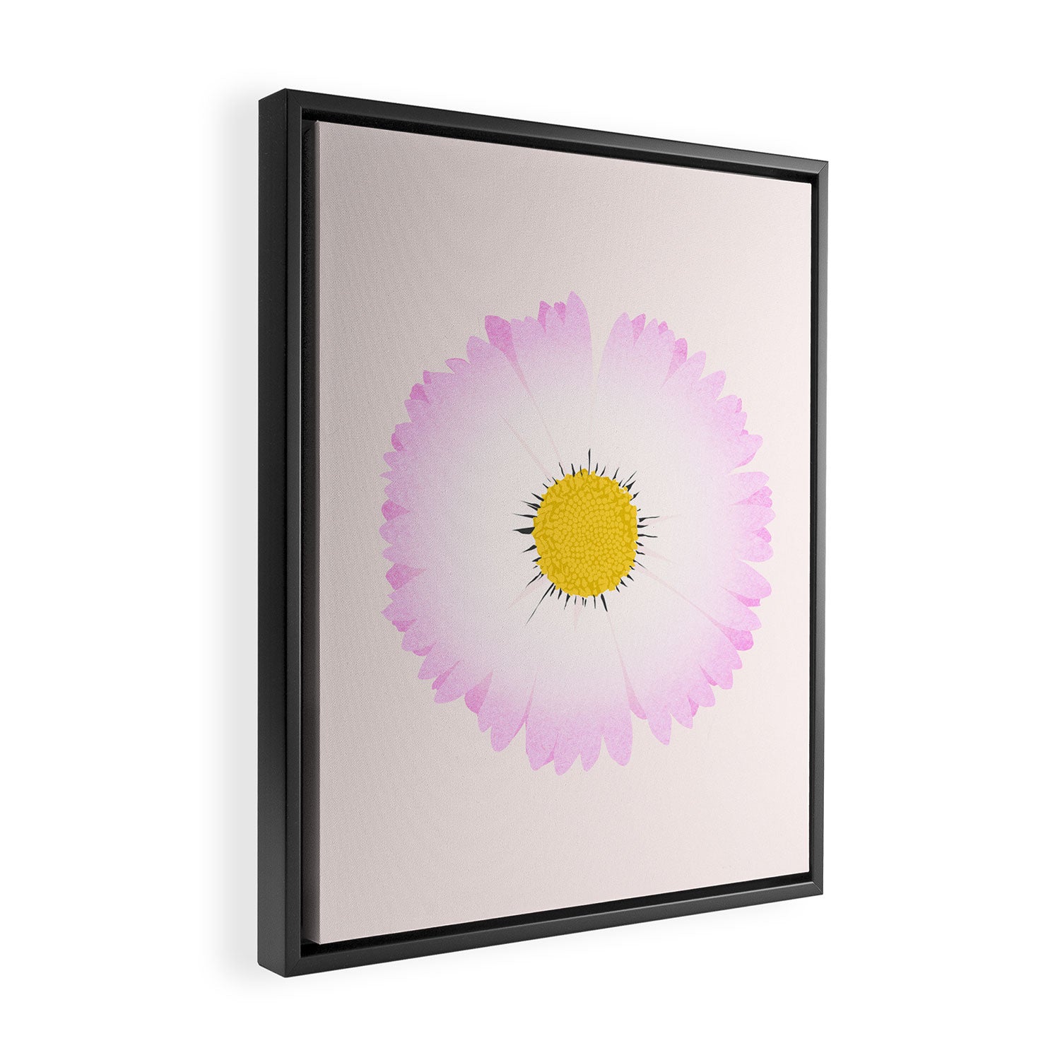 White and Pink Daisy Framed Canvas Print Gallery Image 2