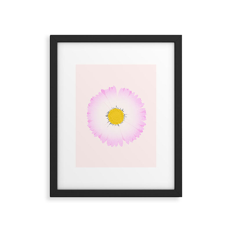 White and Pink Daisy Framed Art Print Gallery Image 5