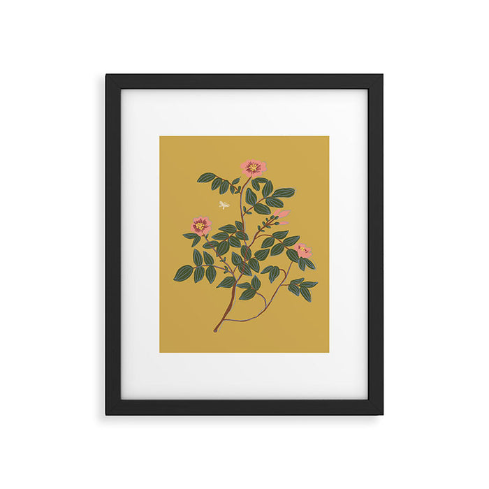 Botanical illustration Framed Art Print Gallery Image 1