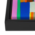 Colour play Framed Canvas Print Gallery Image 3