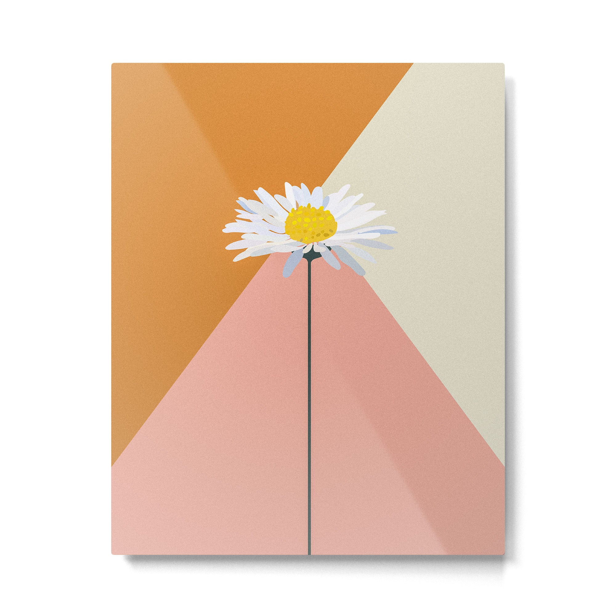 Daisy Love Metal Print Gallery Image 6