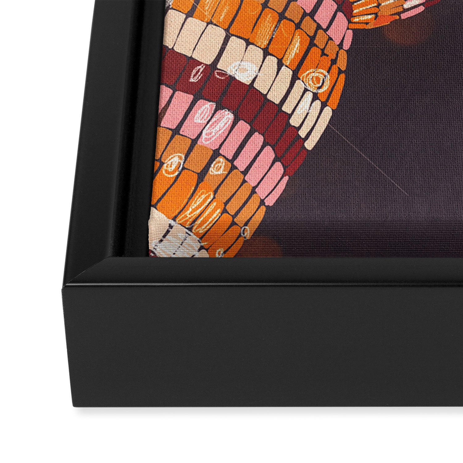 Disco balls Framed Canvas Print Gallery Image 3