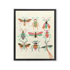 Little wings Framed Canvas Print Gallery Image 6