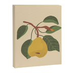 Pear Canvas Print Gallery Image 8