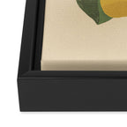 Pear Framed Canvas Print Gallery Image 3