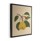 Pear Framed Canvas Print Gallery Image 2