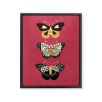 Viva butterflies Framed Canvas Print Gallery Image 6