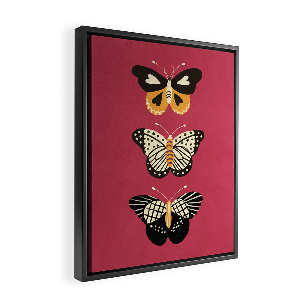 Viva butterflies Framed Canvas Print Gallery Image 2