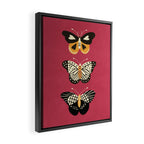 Viva butterflies Framed Canvas Print Gallery Image 2