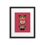 Viva butterflies Framed Art Print Gallery Image 5