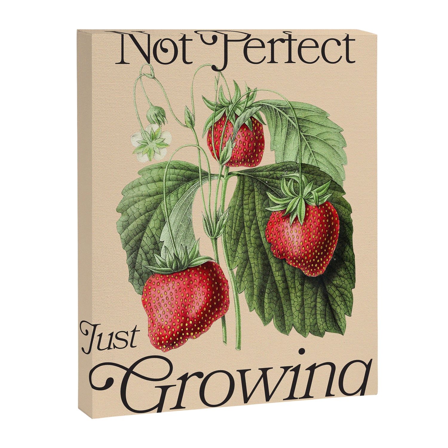 Just Growing Canvas Print Gallery Image 6