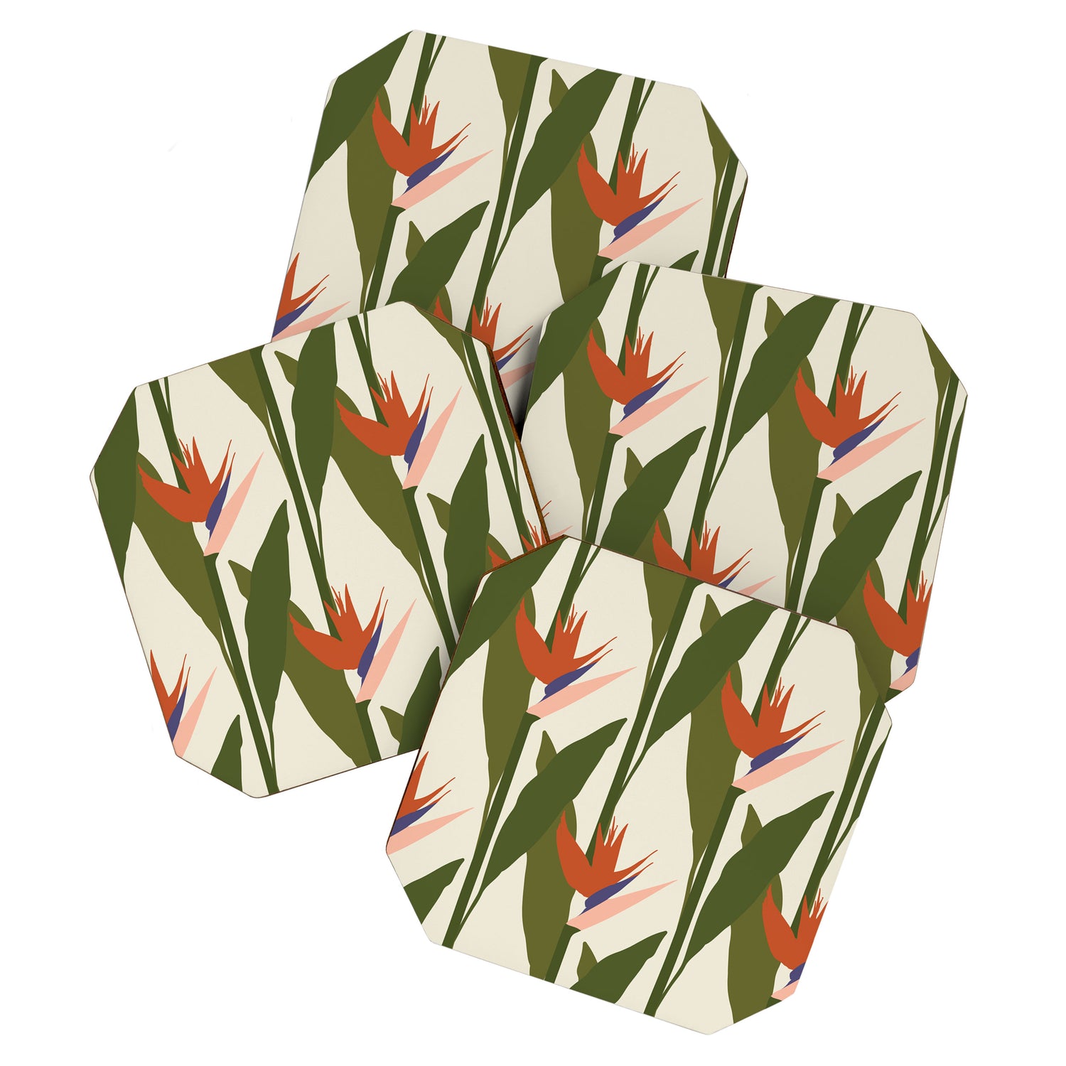 Strelitzia Coaster Gallery Image 1