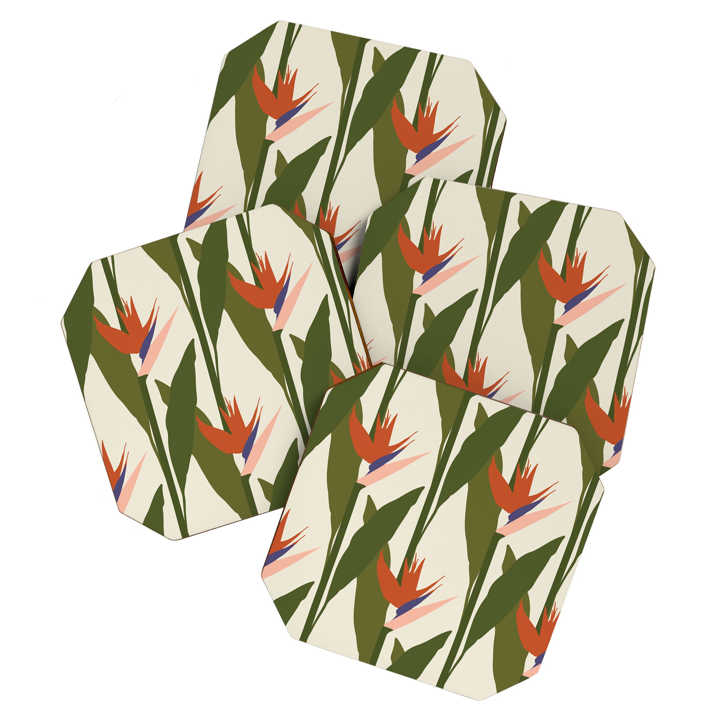 Strelitzia Coaster Gallery Image 1