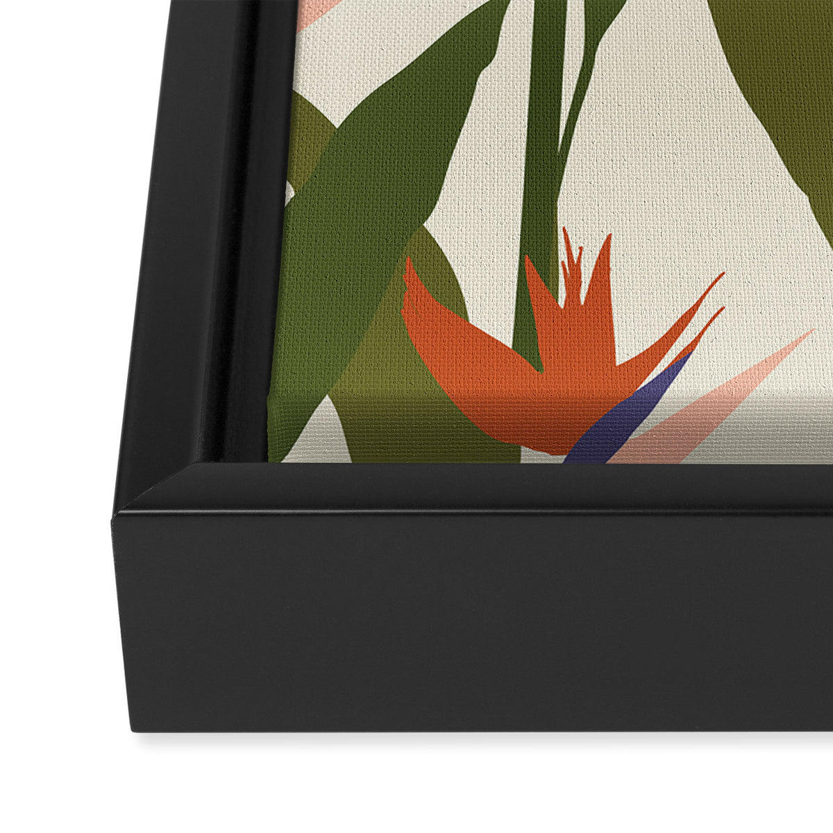 Strelitzia Framed Canvas Print Gallery Image 3