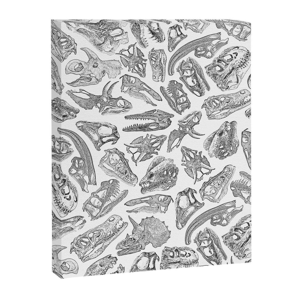 Paleontology Dream Canvas Print Gallery Image 8