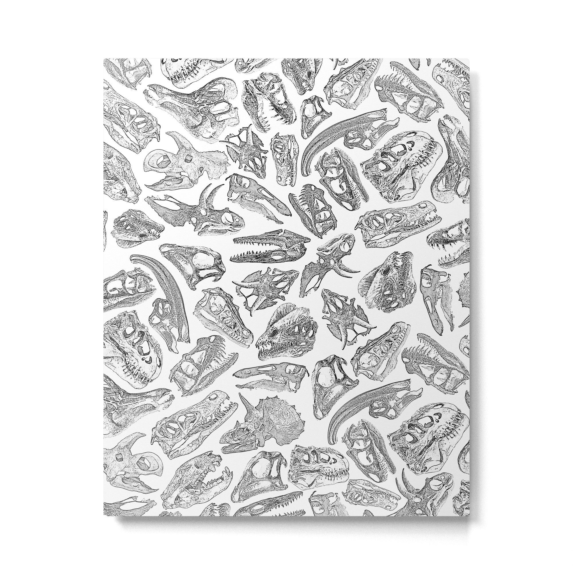 Paleontology Dream Metal Print Gallery Image 6