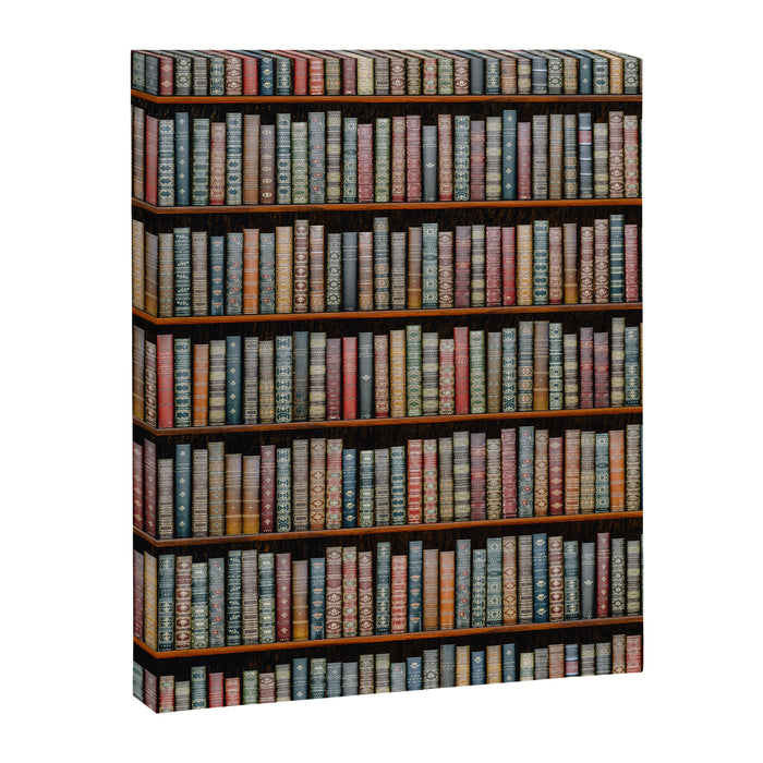 The Library Canvas Print Gallery Image 1