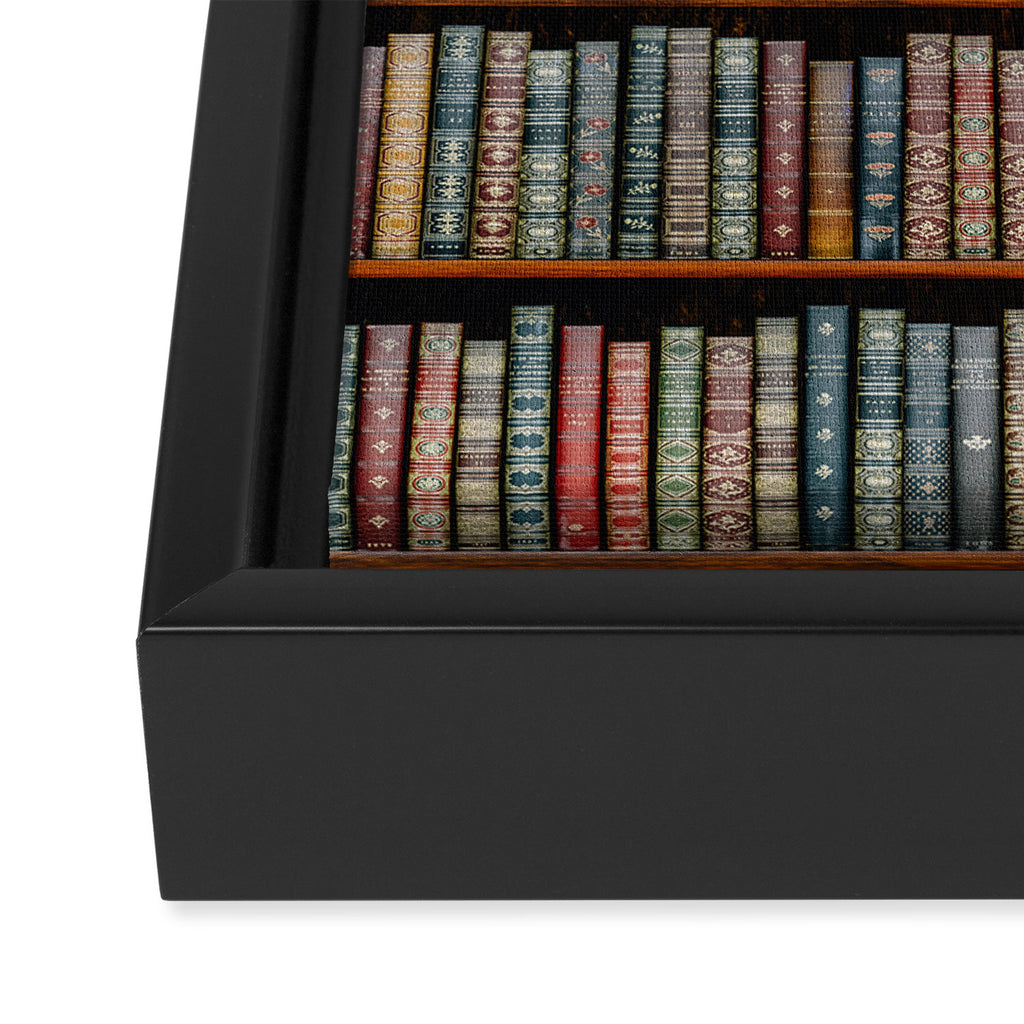 The Library Framed Canvas Print Gallery Image 3