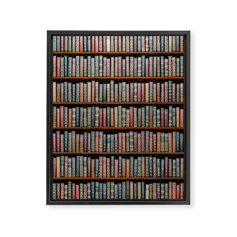 The Library Framed Canvas Print Gallery Image 8