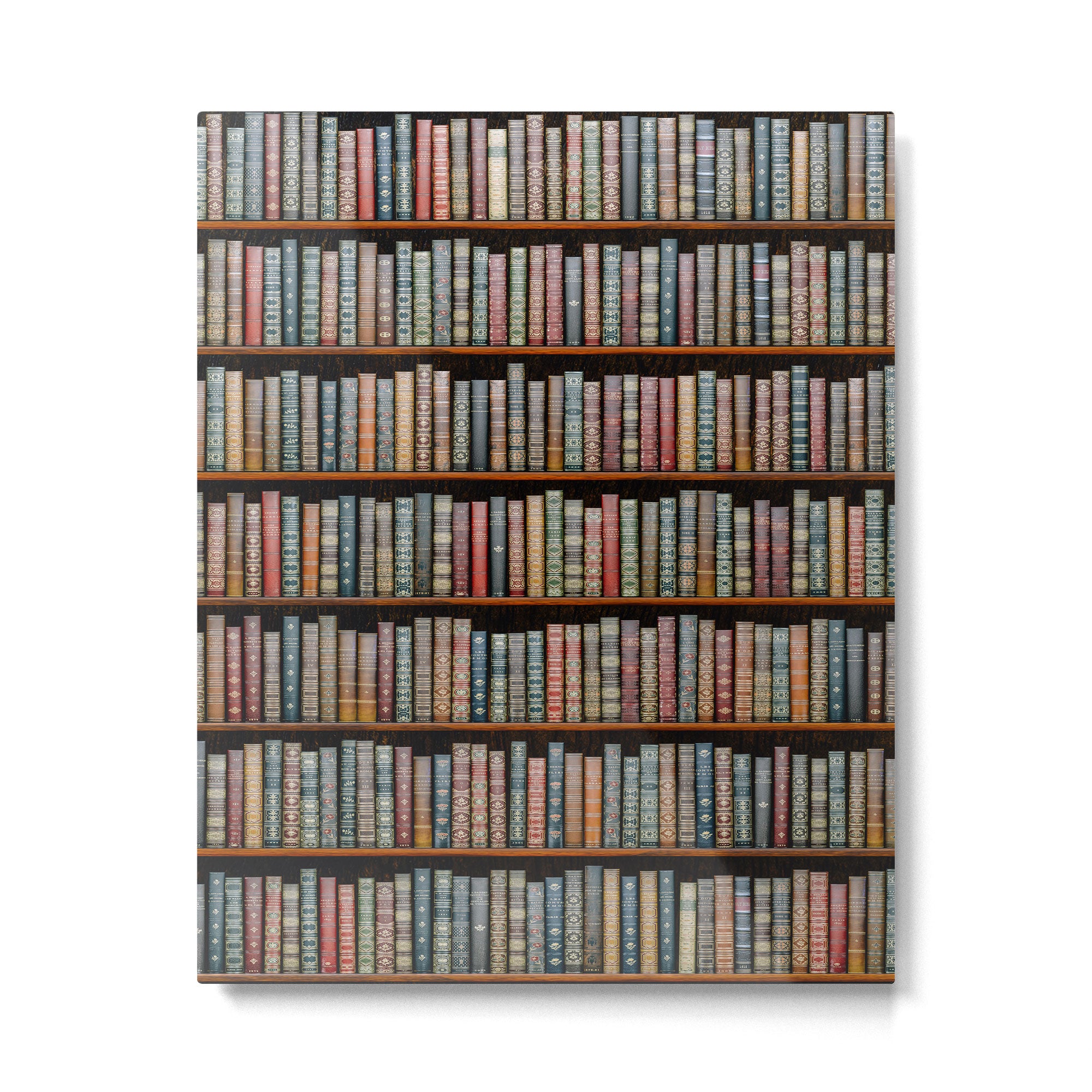 The Library Metal Print Gallery Image 6