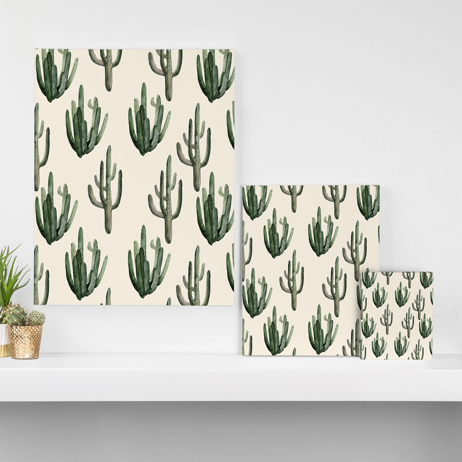 Cactus Canvas Print Gallery Image 3