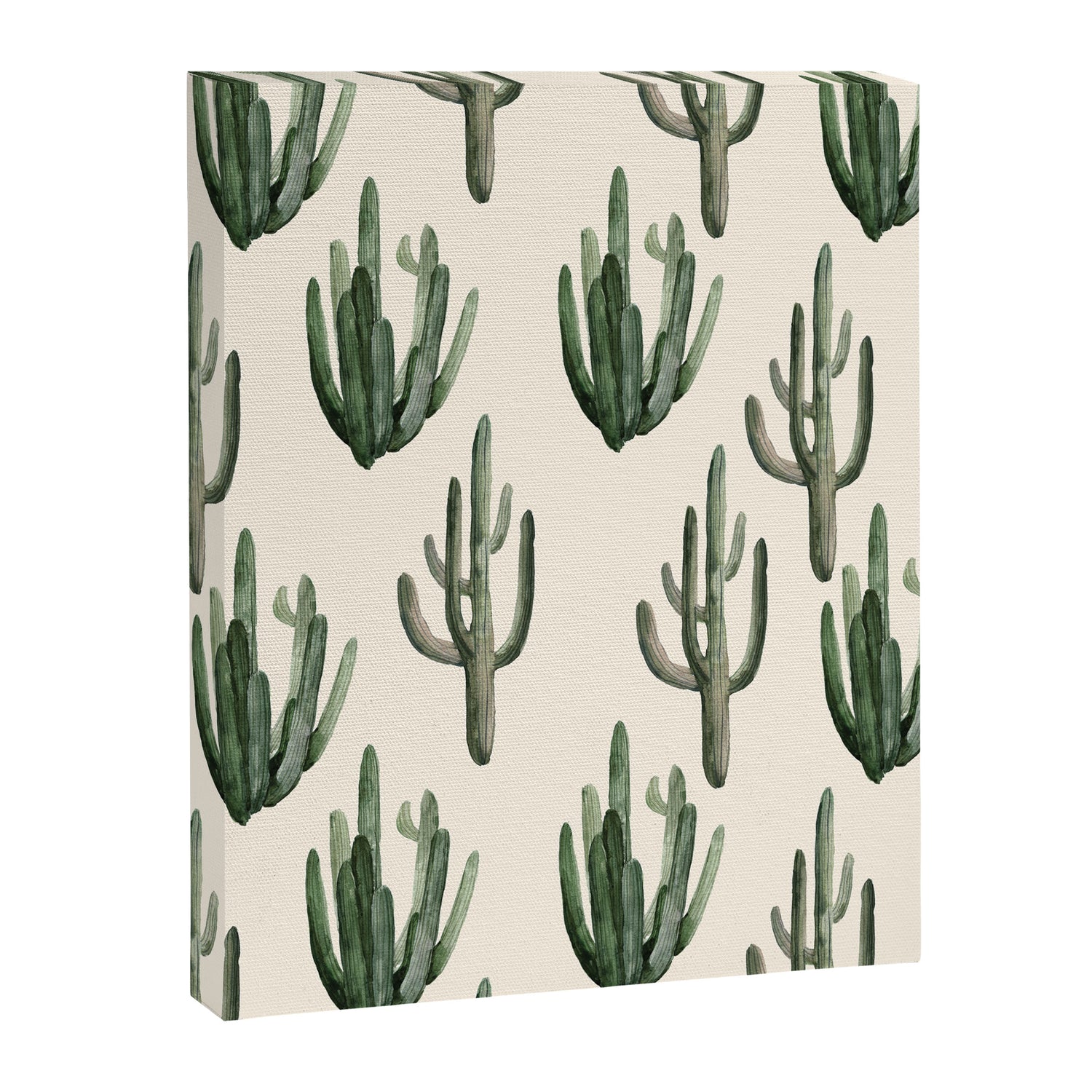 Cactus Canvas Print Gallery Image 3