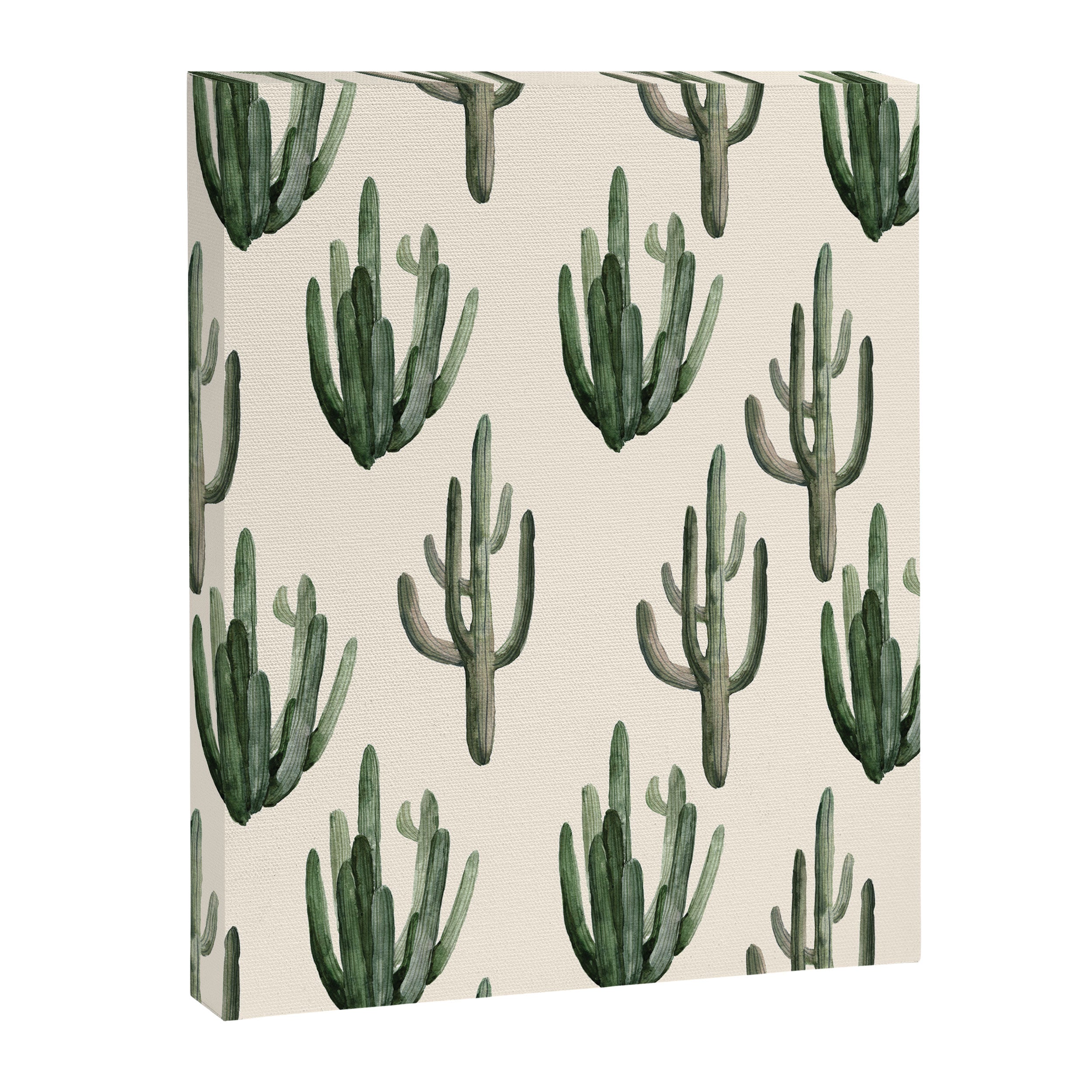 Cactus Canvas Print Gallery Image 3
