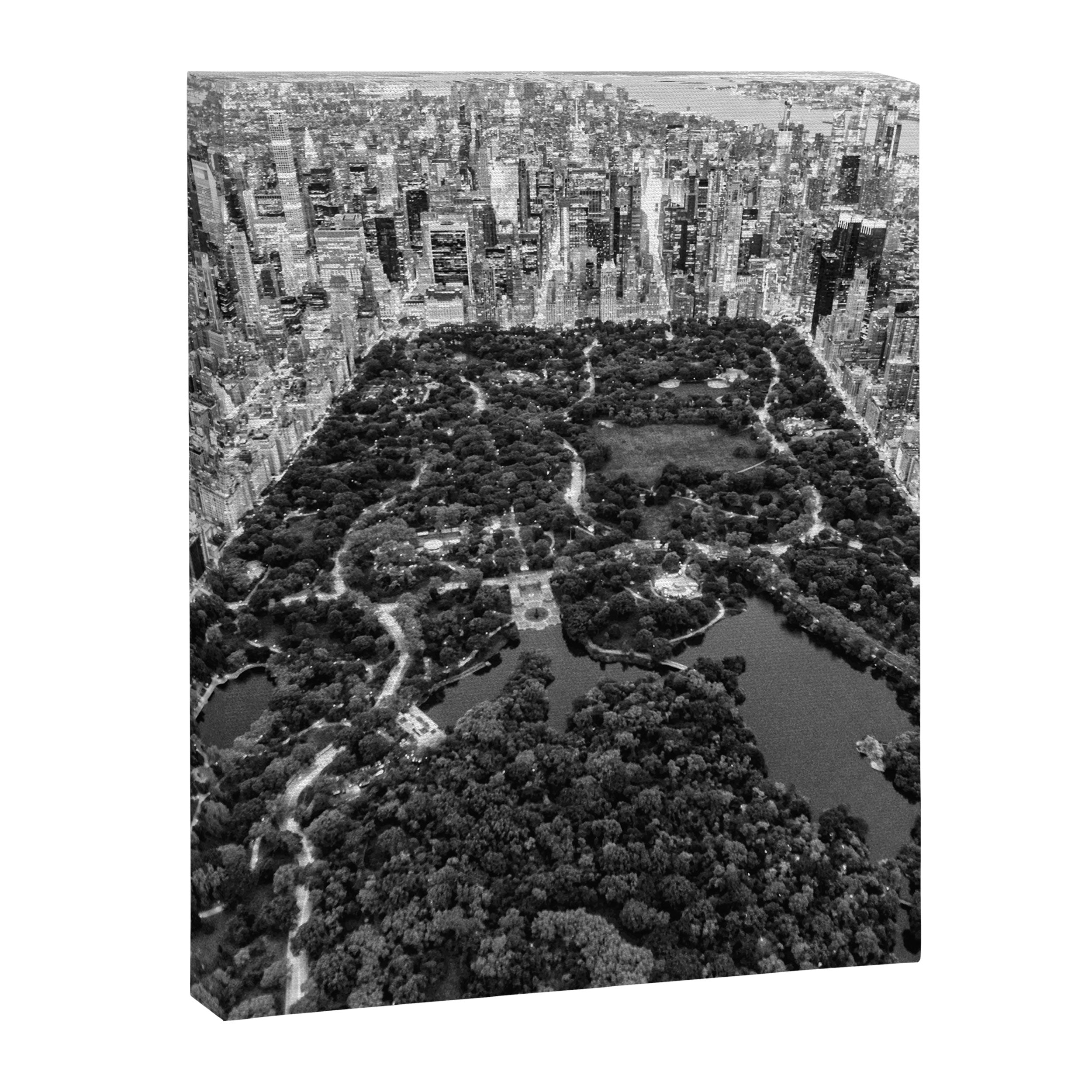 Central Park New York Canvas Print Gallery Image 6