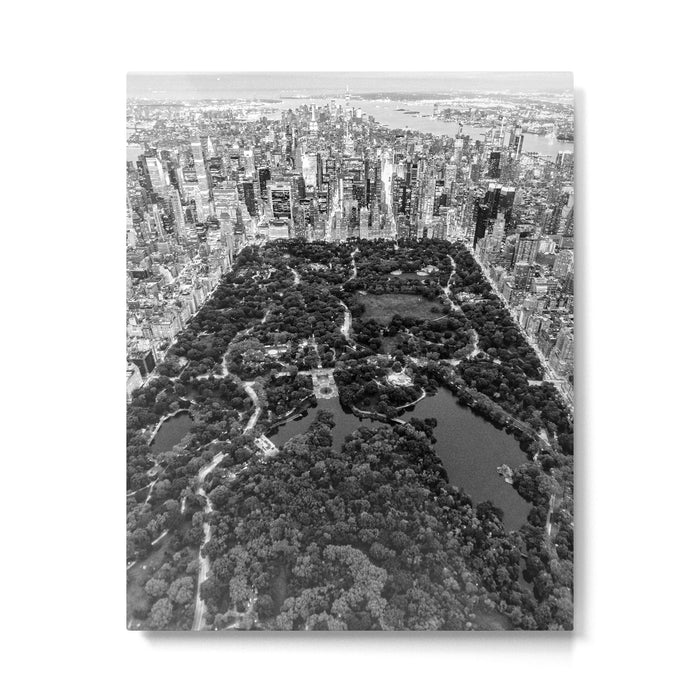 Central Park New York Metal Print Gallery Image 1