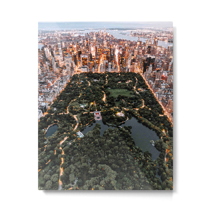 Central Park New York Metal Print Gallery Image 1