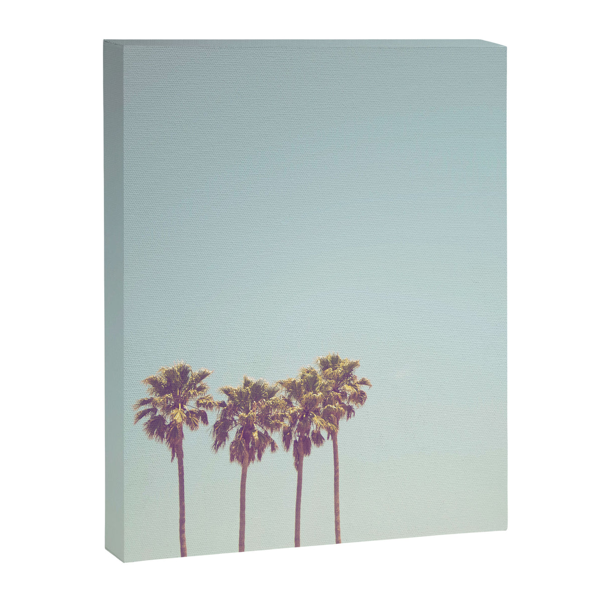 Palm Tree Canvas Print Gallery Image 6
