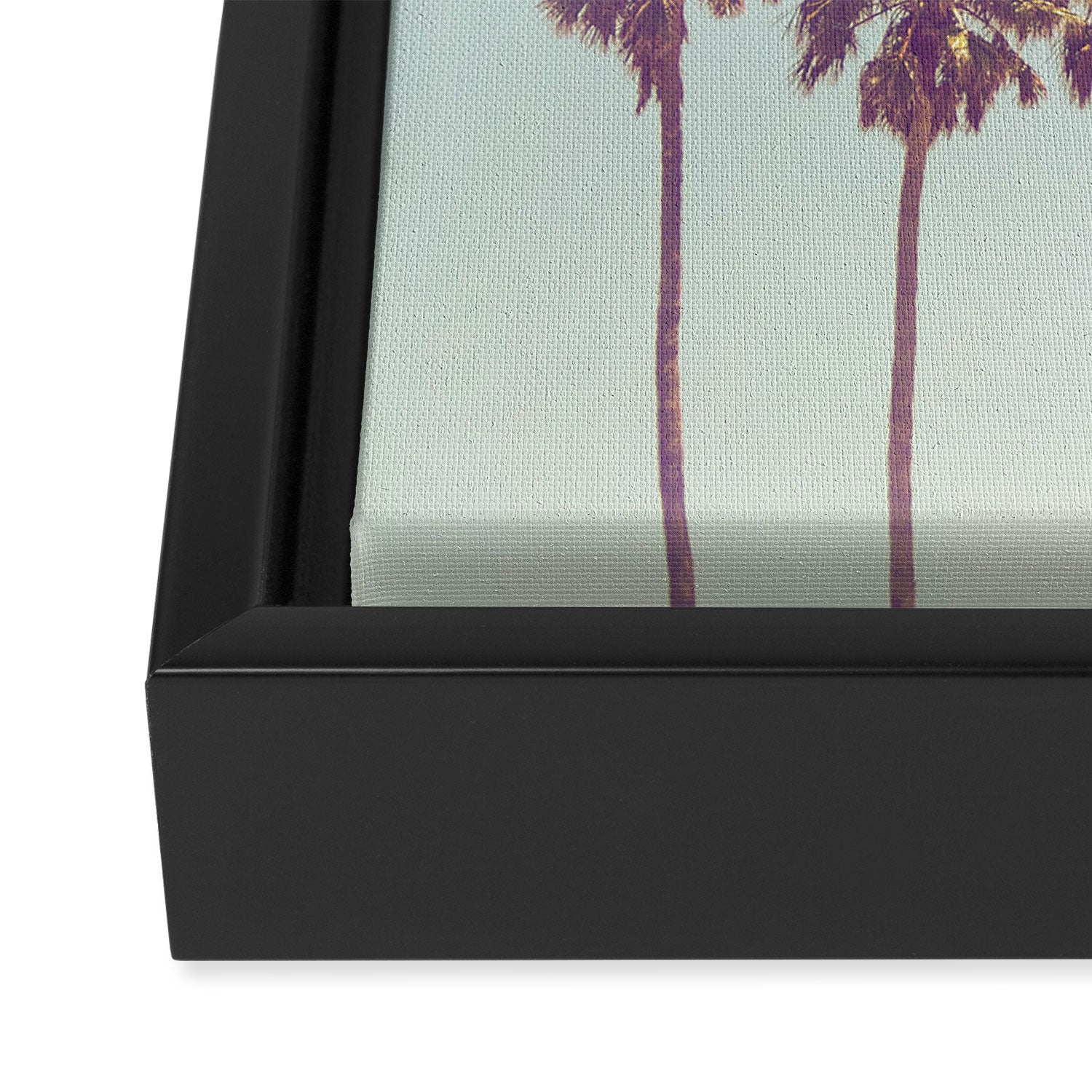 Palm Tree Framed Canvas Print Gallery Image 3